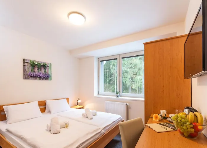 Hotel&Wellness Knizeci Rybnik